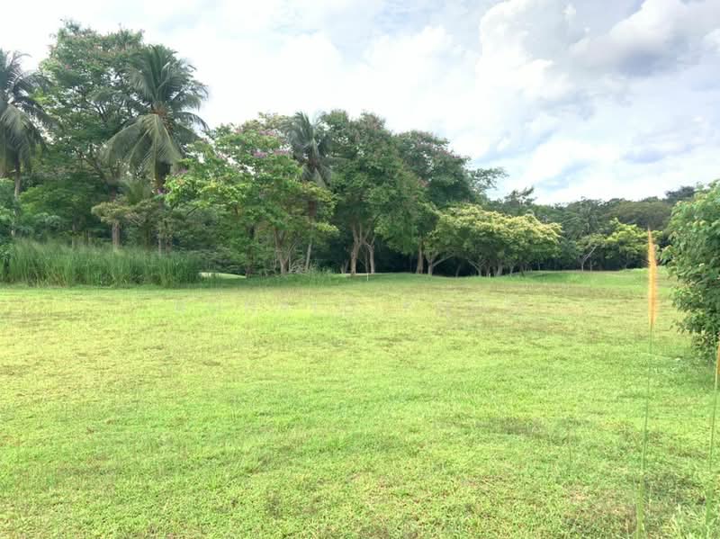 LOT 2114,PT 539 A'FAMOSA MUKIM PEGOH,MELAKA